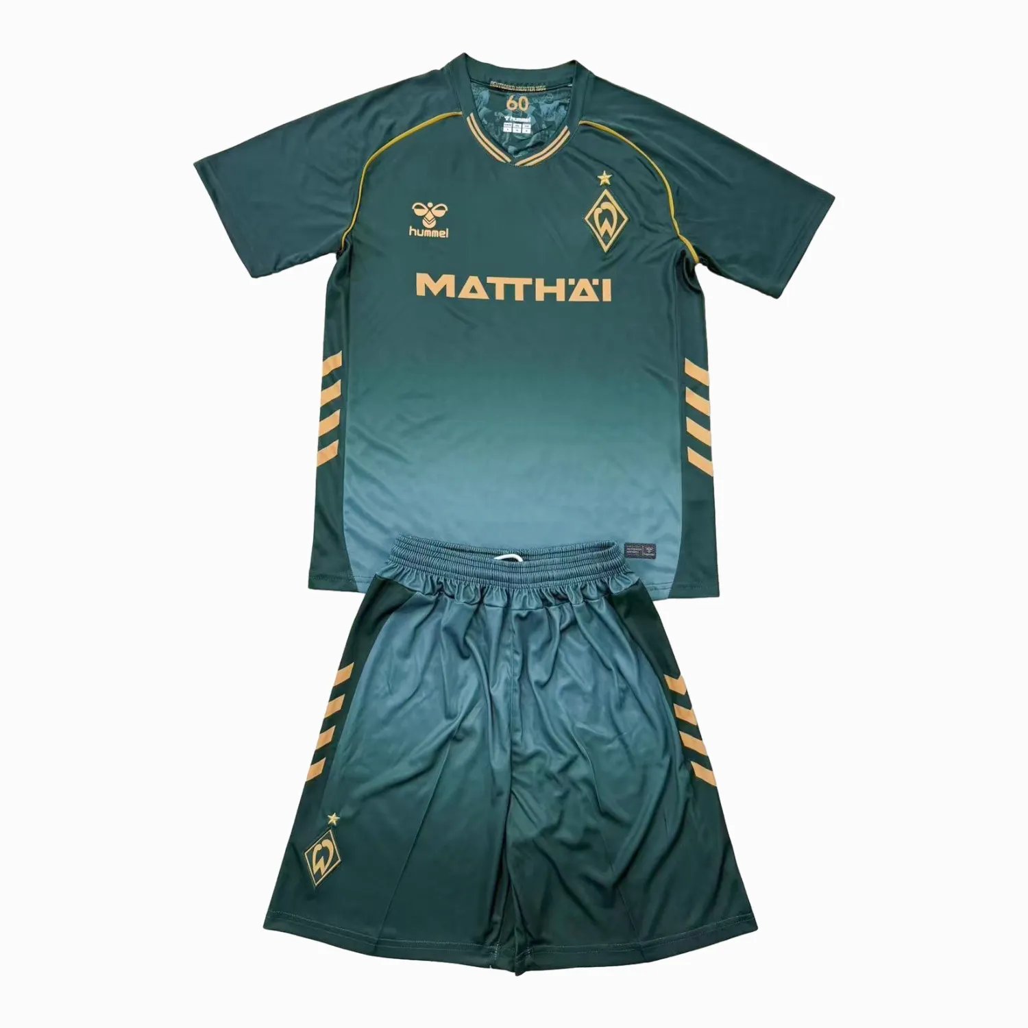 Men's Werder Bremen 2025/26 Third Warm Up Shirt
