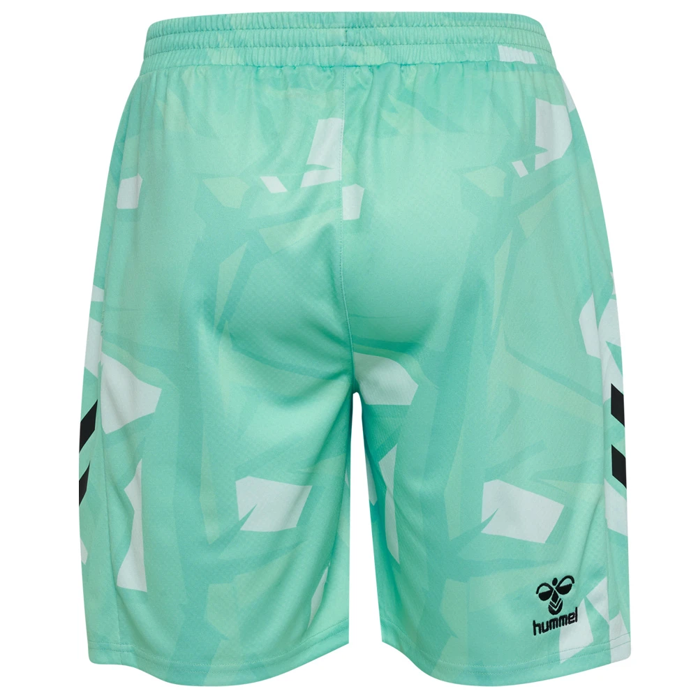 Werder Bremen Torwarthose Saison 26/27 Grün Fußball Shorts