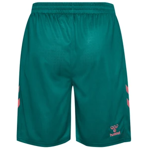 Werder Bremen Sporthose Third Saison 26/27 Fußball Shorts
