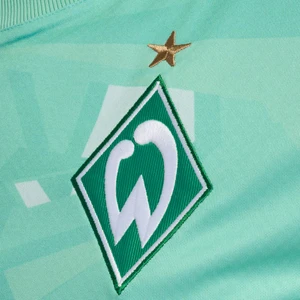 Werder Bremen Torwarttrikot Saison 26/27 Kurzarm Grün Fußball Trikot