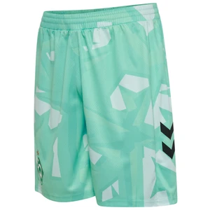 Werder Bremen Torwarthose Saison 26/27 Grün Fußball Shorts