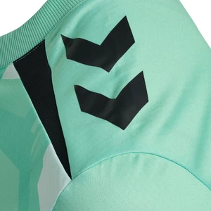 Werder Bremen Torwarttrikot Saison 26/27 Kurzarm Grün Fußball Trikot